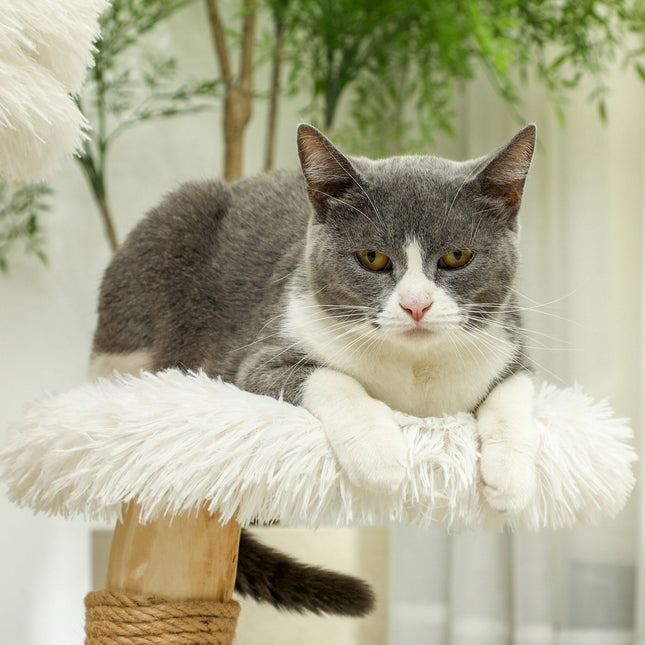 PAWROOM - Kradbestol 61,5 cm høj katteskrabestol med legebold, senge, kattetårn med katteskrabebræt, til katte under 5 kg, pæretræ, hvid