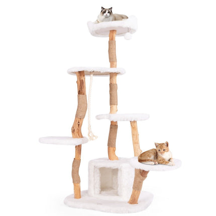 PAWROOM - 168 cm kattetræ med platforme, hule og sisalstolper