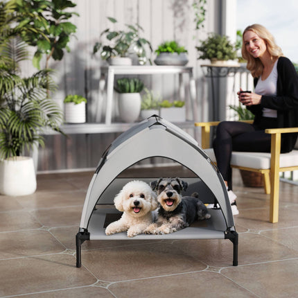 PAWROOM - Forhøjet hundeseng med baldakin, åndbart net, bærbar