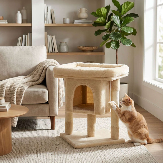 TASSORA - Kradsetræ med hule og platform, beige, 60 cm