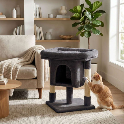 TASSORA - Kradsetræ med hule og platform, mørkegrå, 60 cm højt
