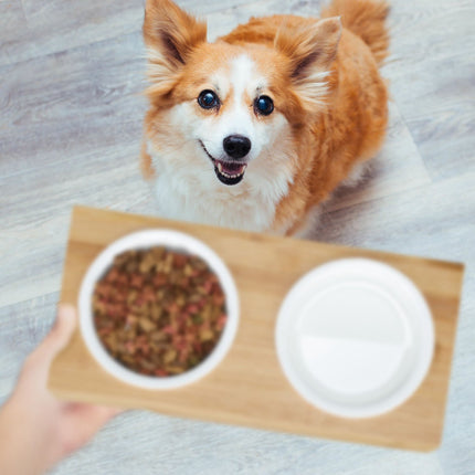 TASSORA - Feeding Station with Ceramic Bowls